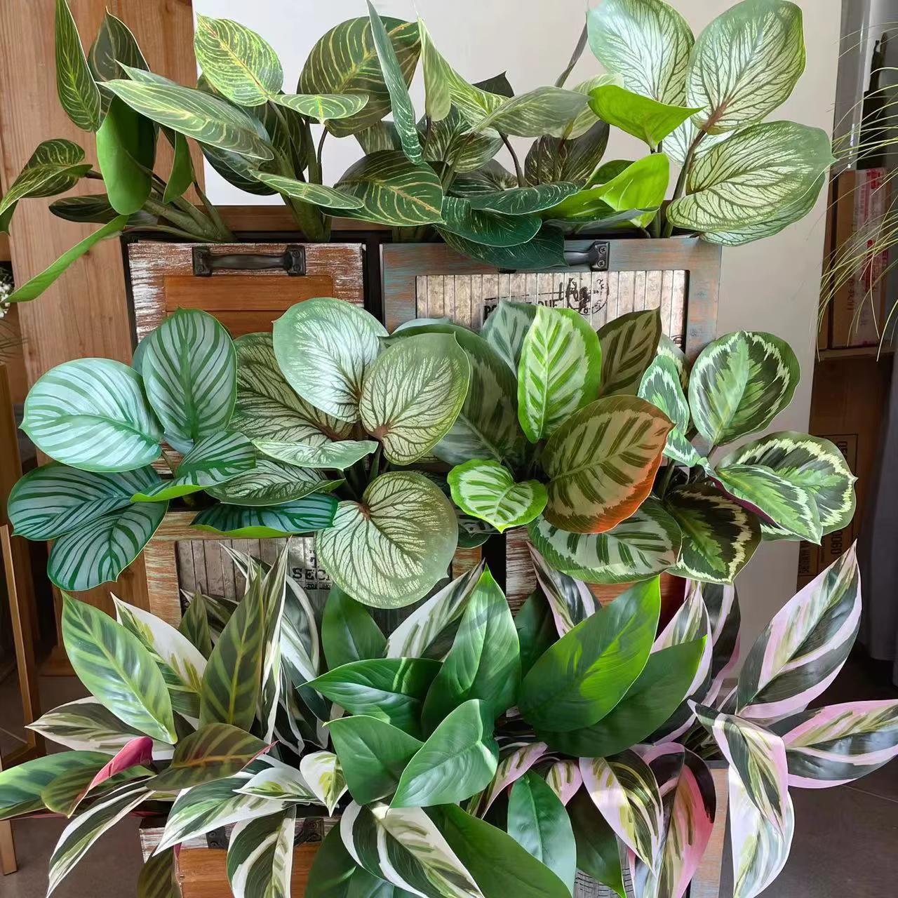 Plante artificielle en soie