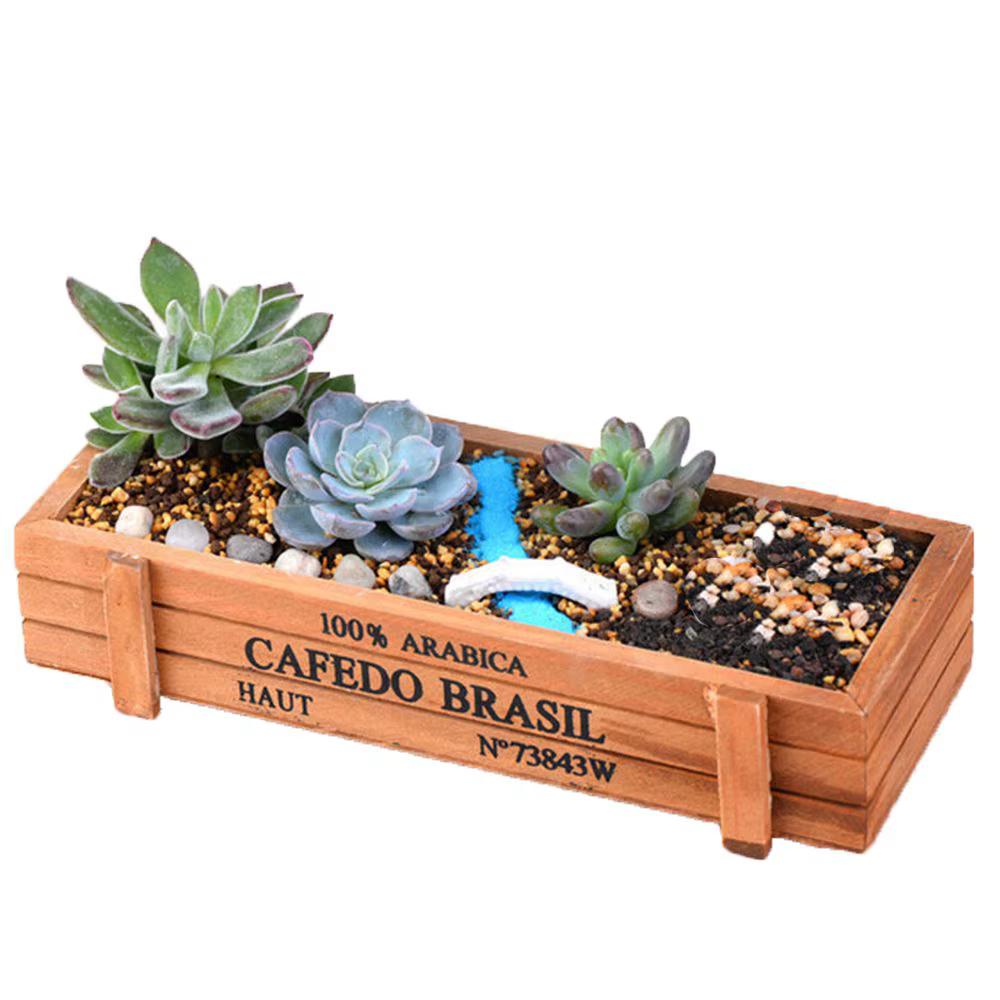 1 pot décoratif en bois pour plantes succulentes
