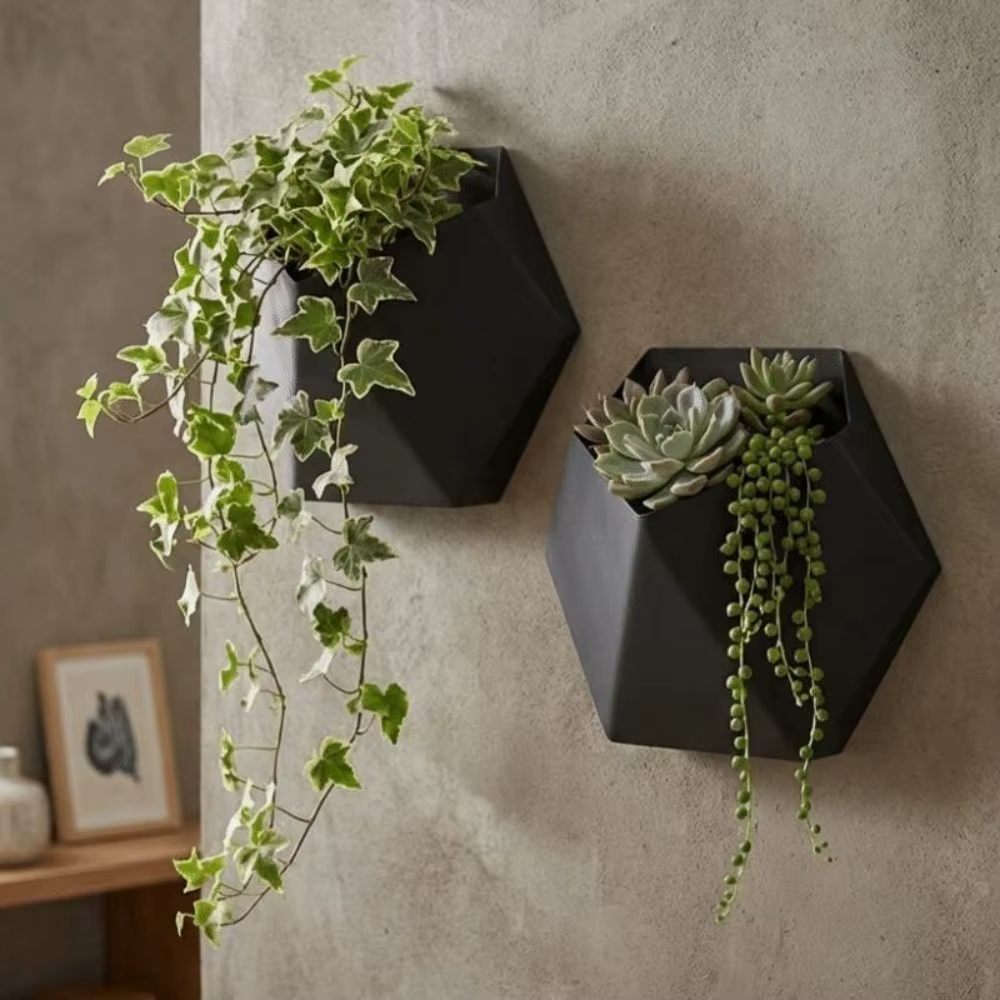Pot de fleurs hexagonal géométrique mural