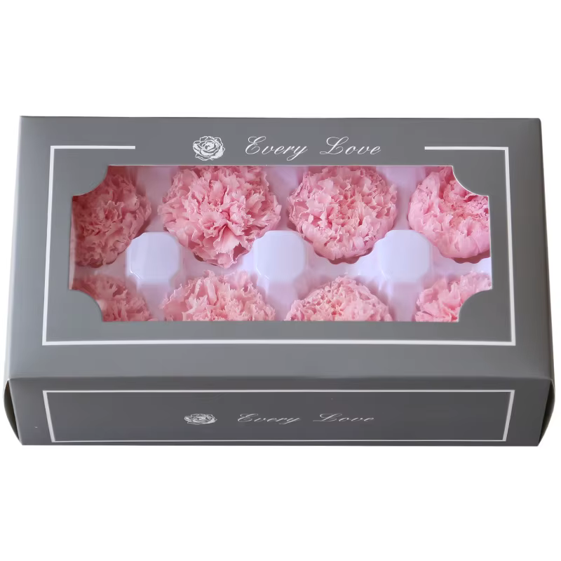 Fleur fraîche d'oeillet longue durée
