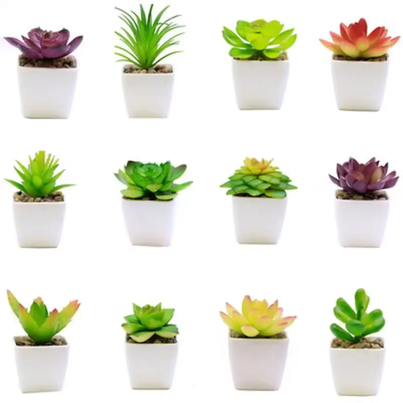Plantes vertes succulentes artificielles