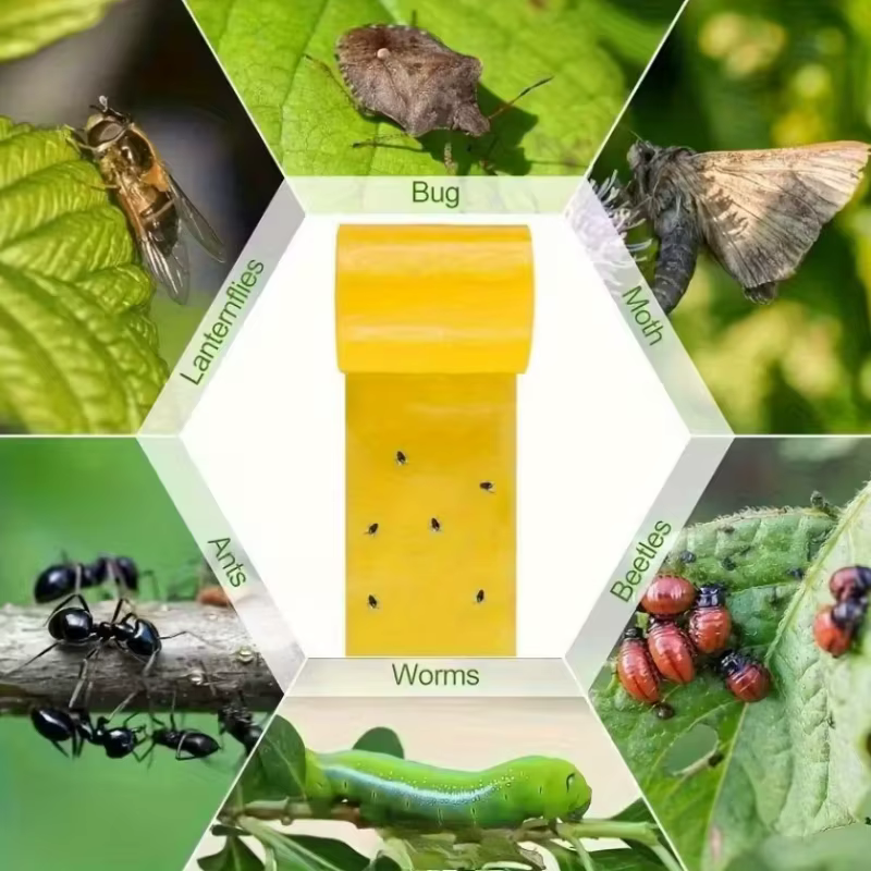 Ruban adhésif Double face jaune anti-insectes