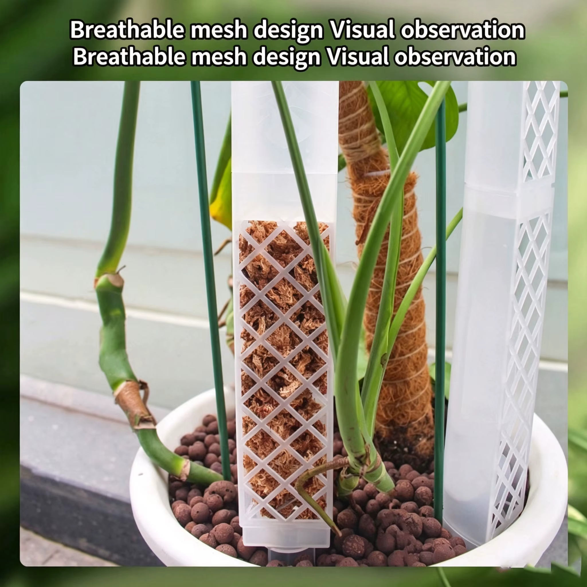 Poteau de fixation pour plantes grimpantes en bambou
