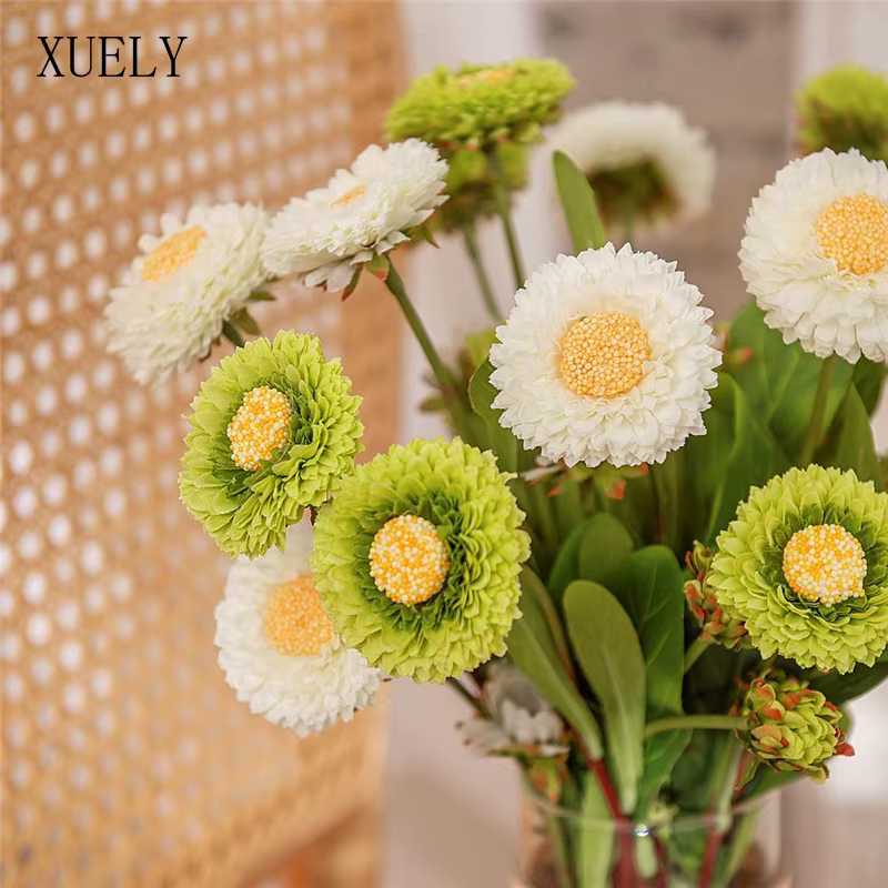 Chrysanthème à branche unique