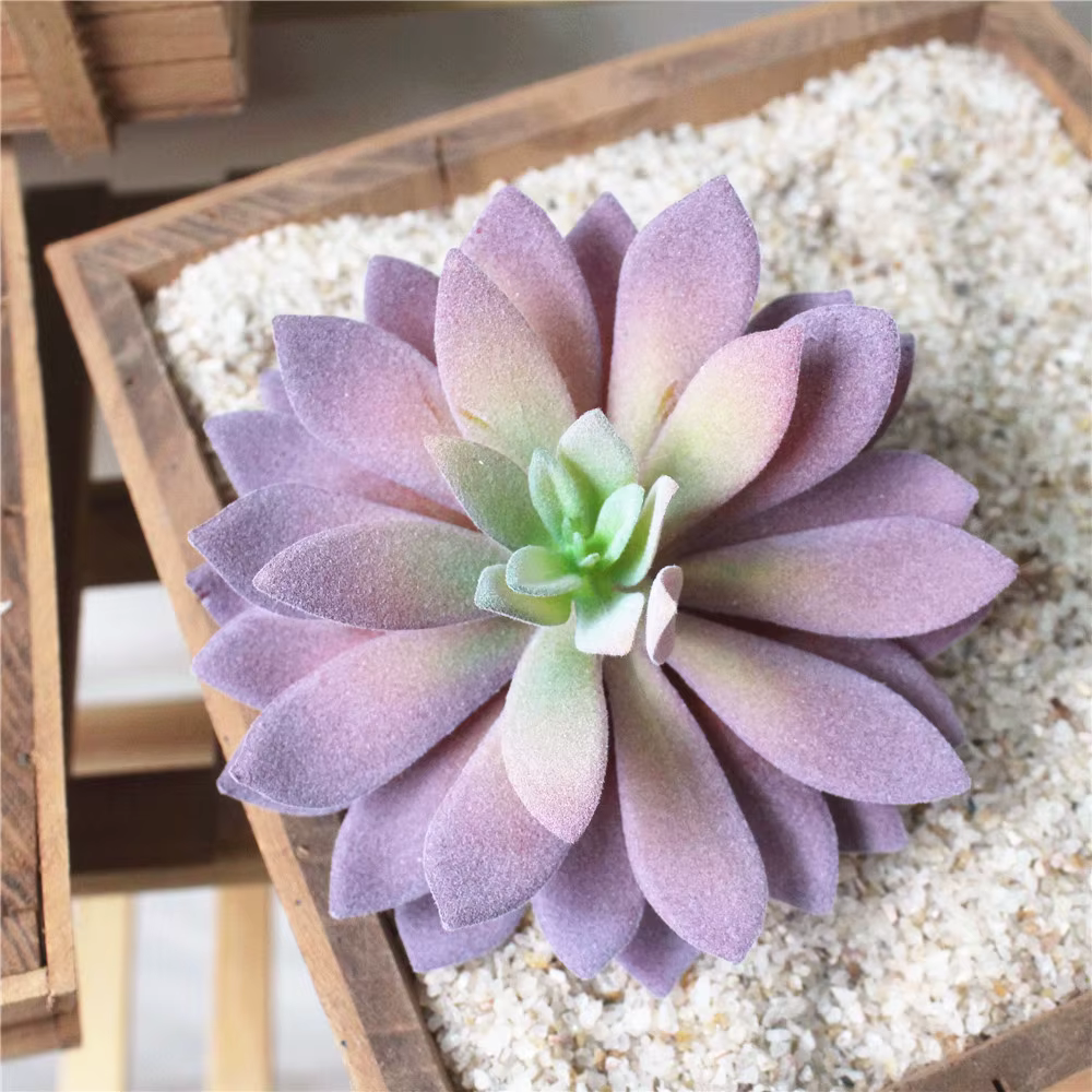 Grands plantes succulentes artificielles fausses
