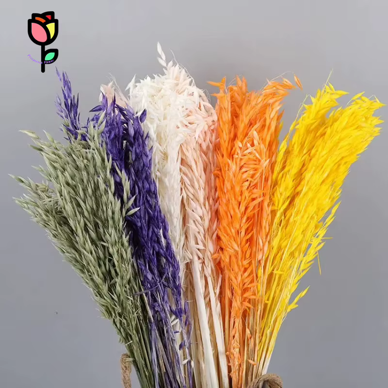 Bouquet de fleurs séchées de blé naturel