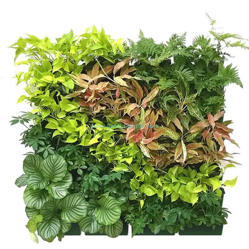 E74E Pot fleur Vertical suspendu mur