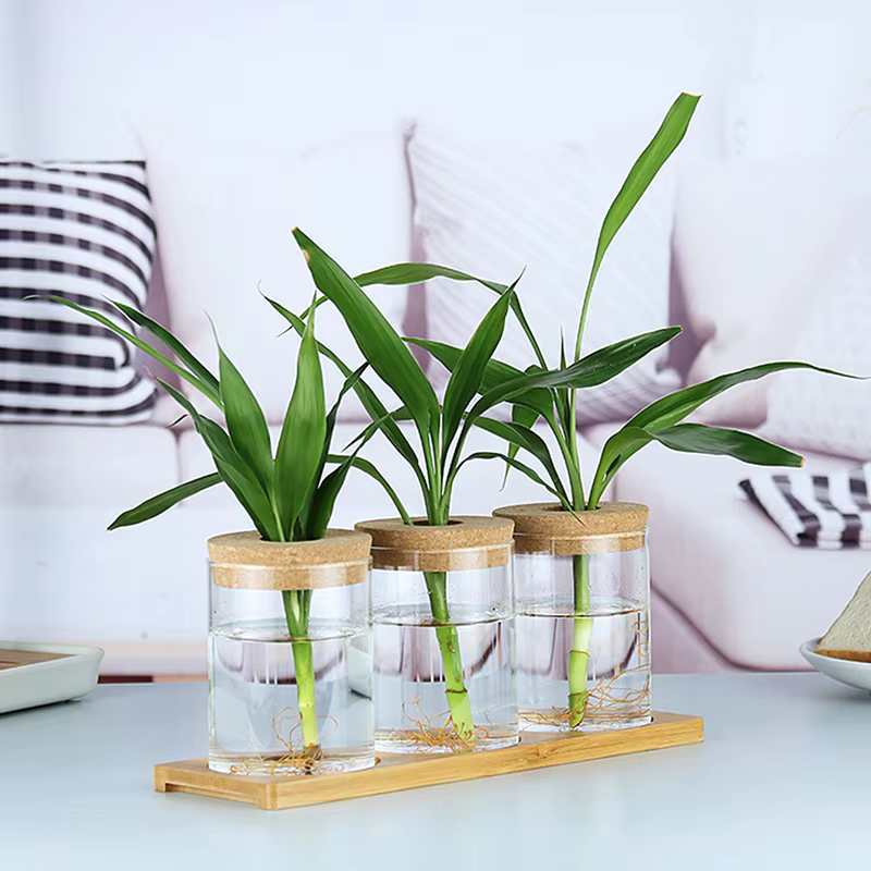 Pot de fleurs hydroponique transparent imitation verre