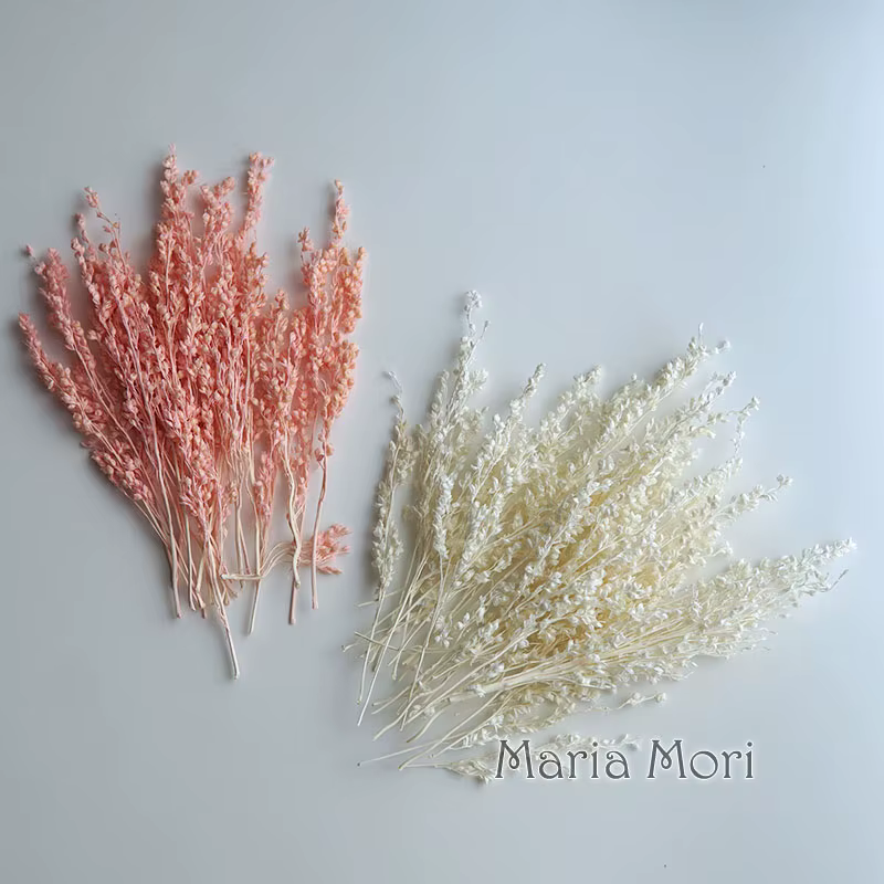 10g/Coloré Fleurs de maïs séchées blanchies