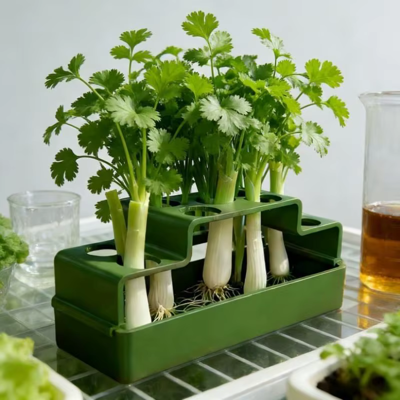 Système hydroponique de culture d'oignons verts avec dispositif d'arrosage automatique