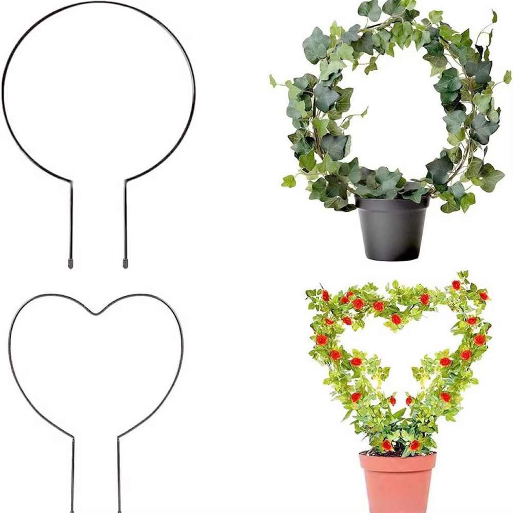 Trellis pour plantes d'intérieur