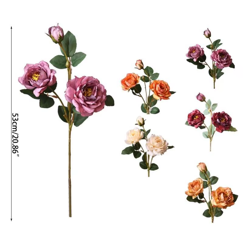 E8BD – ornement Floral pivoine