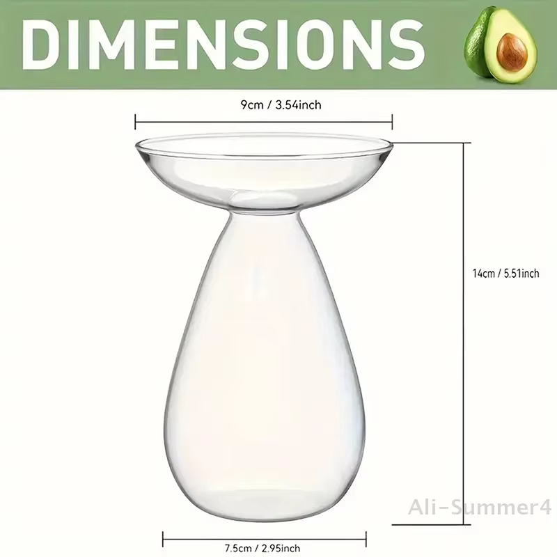 Vase hydroponique Transparent coloré d'avocat