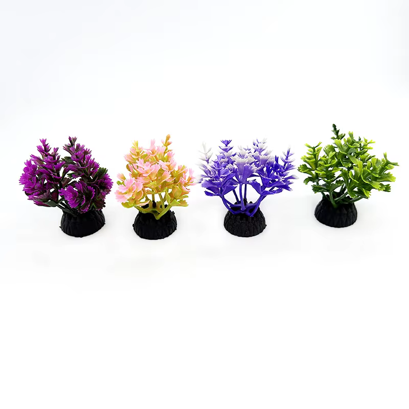 Plantes d'aquarium de petite taille