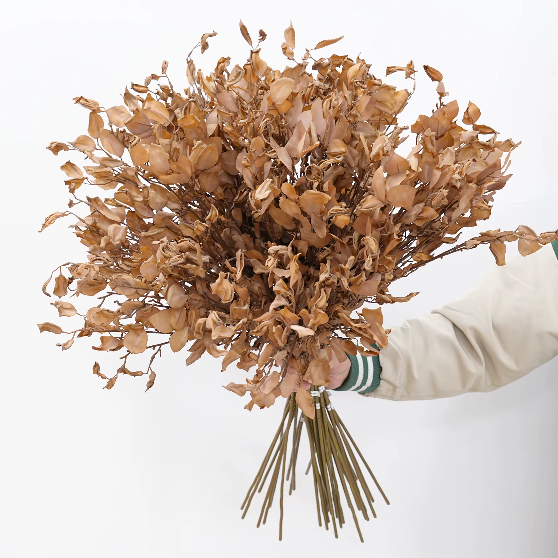 Plante Artificielle C2024