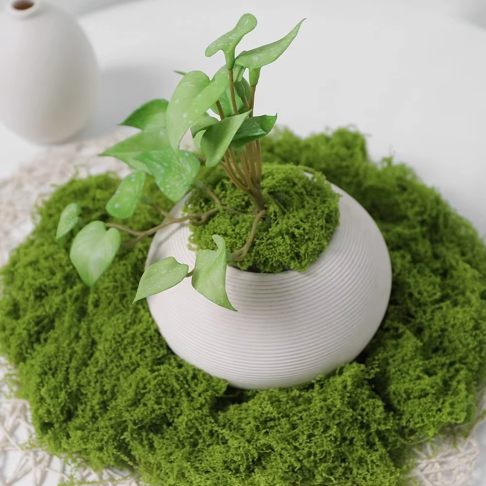 30/50/100g plantes vertes artificielles mousse herbe maison salon jardin décoration Mini paysage fausse fleur bricolage artisanat
