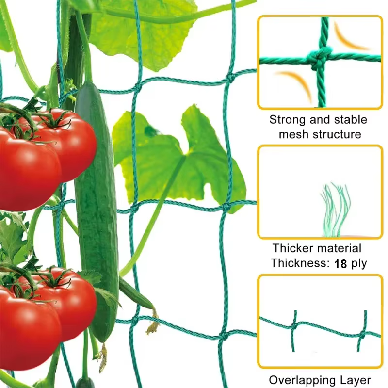 Maille de cadre pour plantes grimpantes à 18 actions