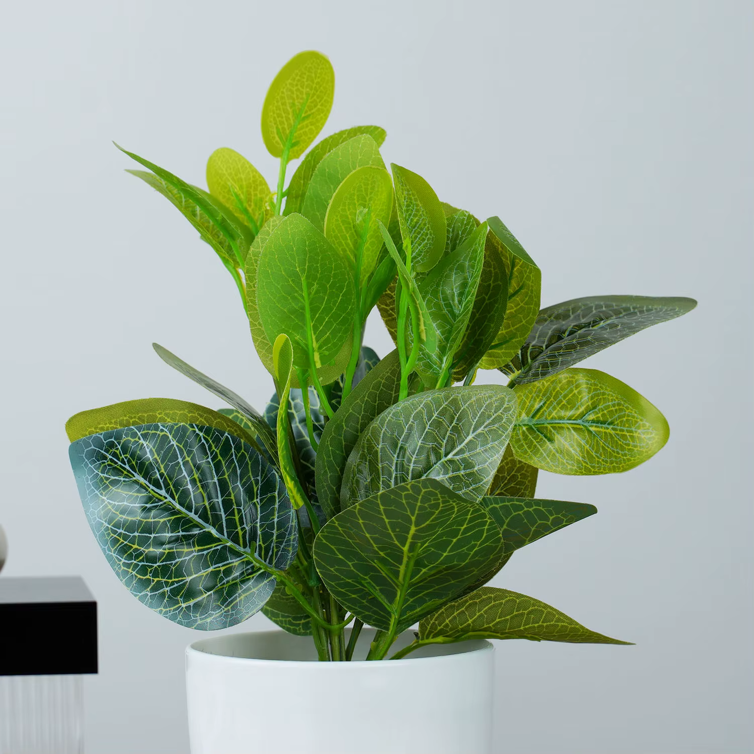 Plantes vertes artificielles bonsaï
