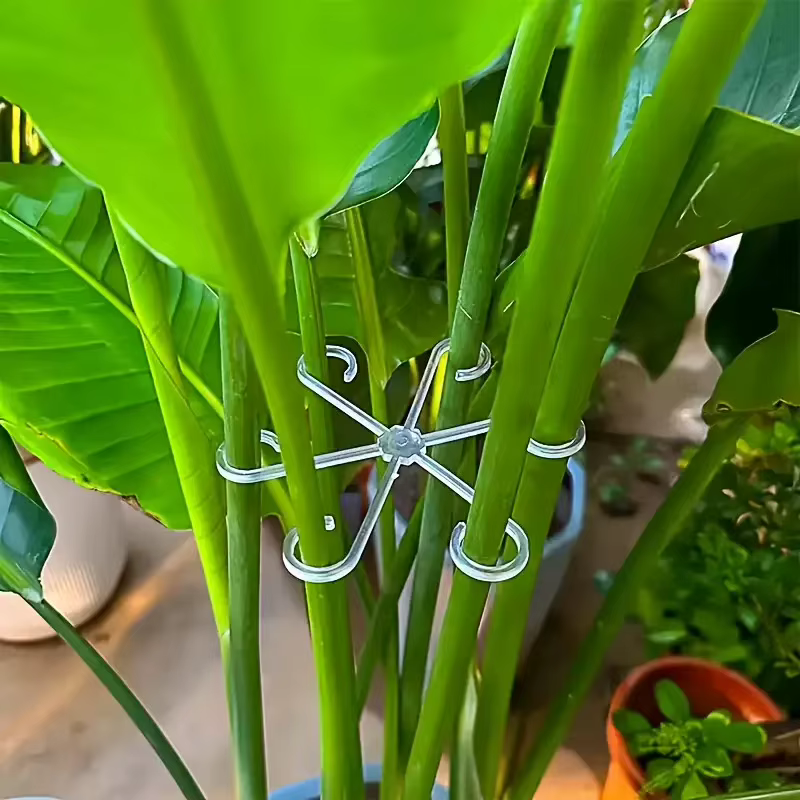 Ensemble de 4 piquets de soutien pour plantes
