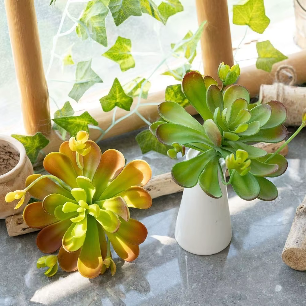 Plante succulente artificielle réaliste au toucher authentique