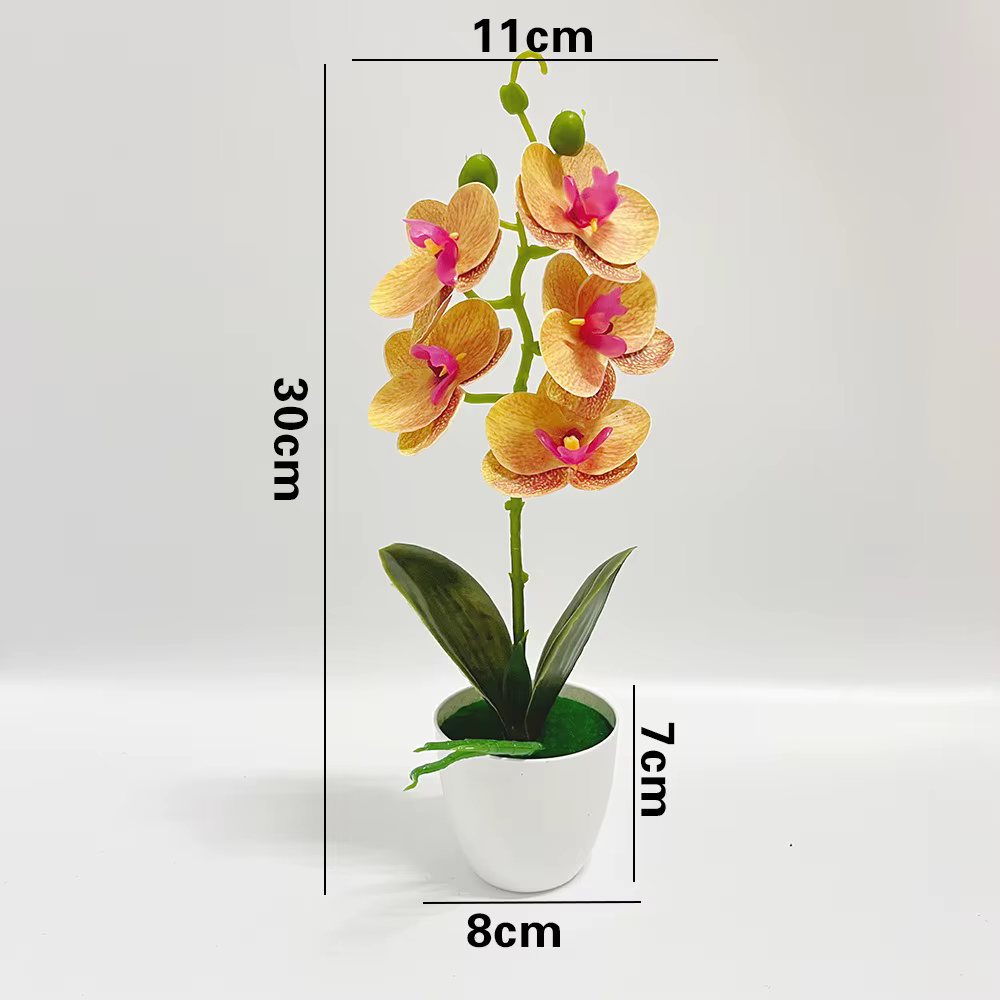 Plantes en pot d'orchidées papillon à 5 fleurs