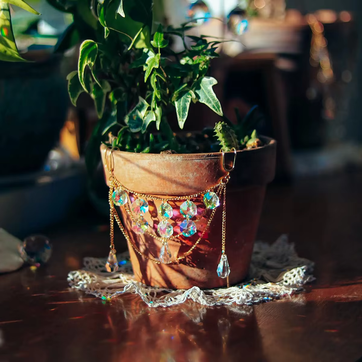 Plante attrape-soleil en cristal