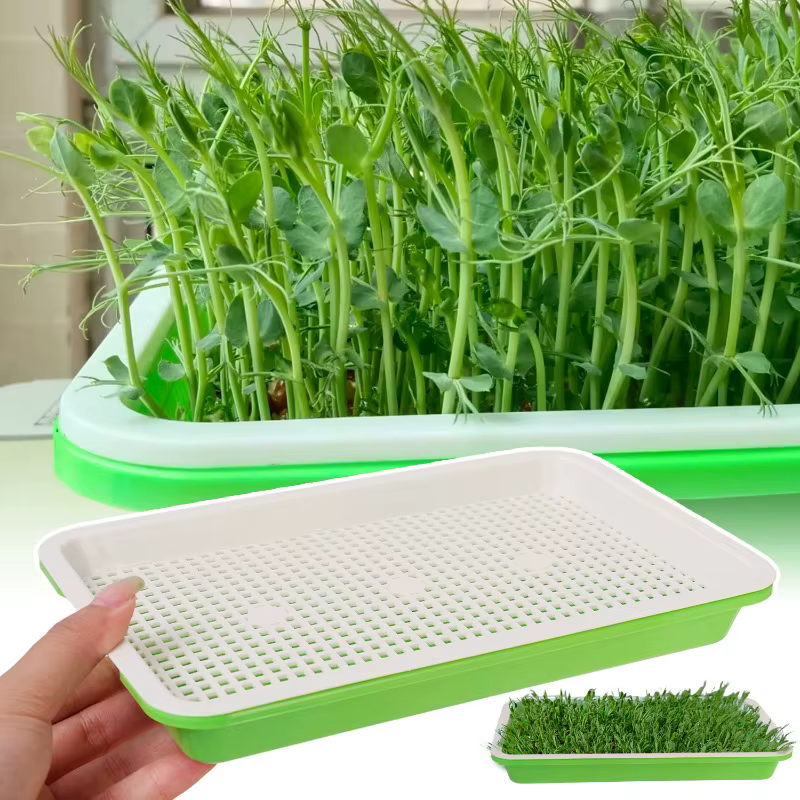 Plateau de germination de jardin