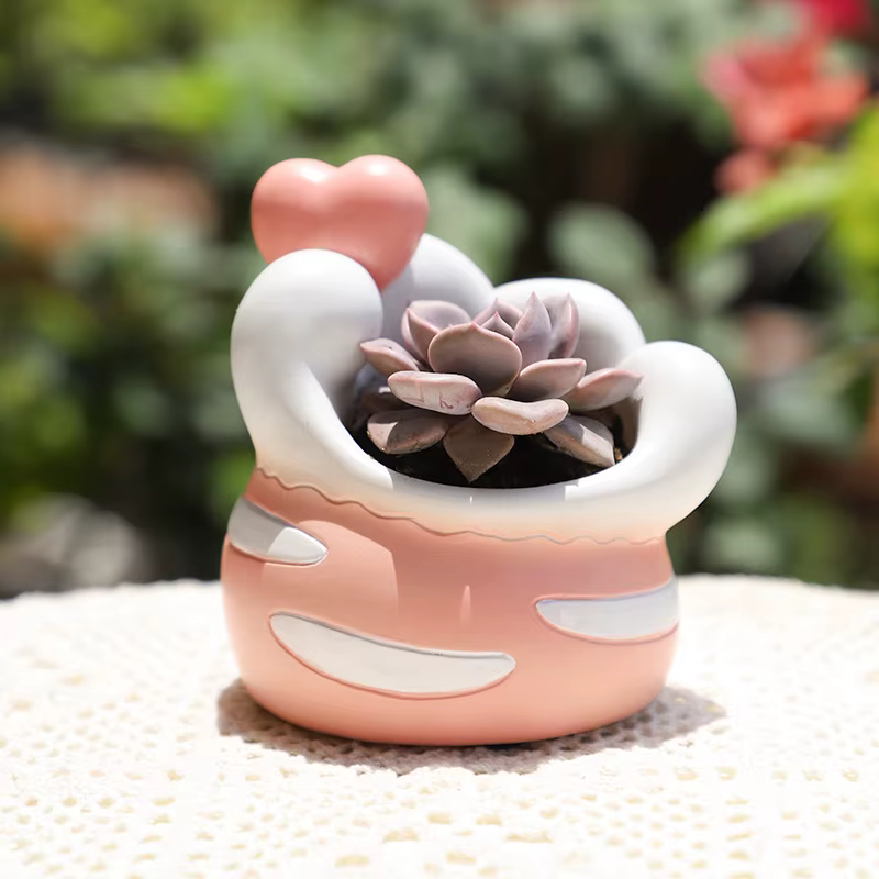 Pot de plantes succulentes en forme de patte de chat