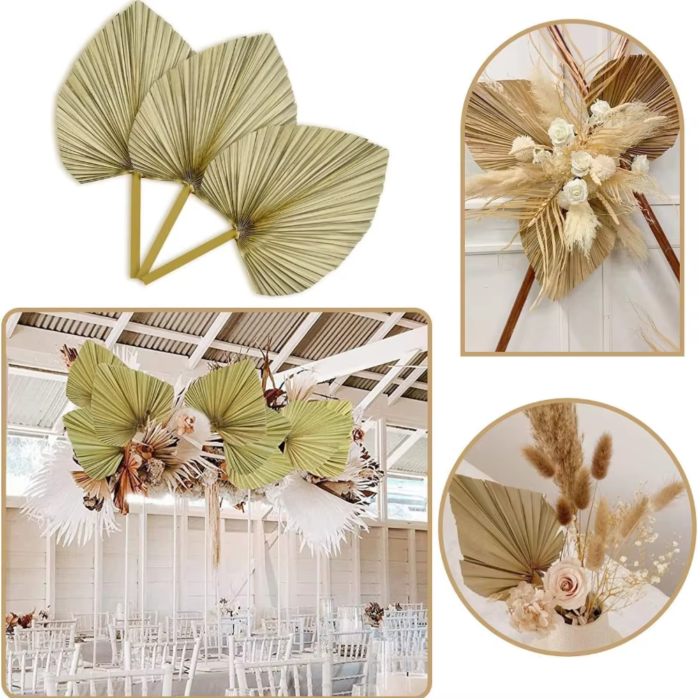 3 feuilles de palmier séchées naturelles