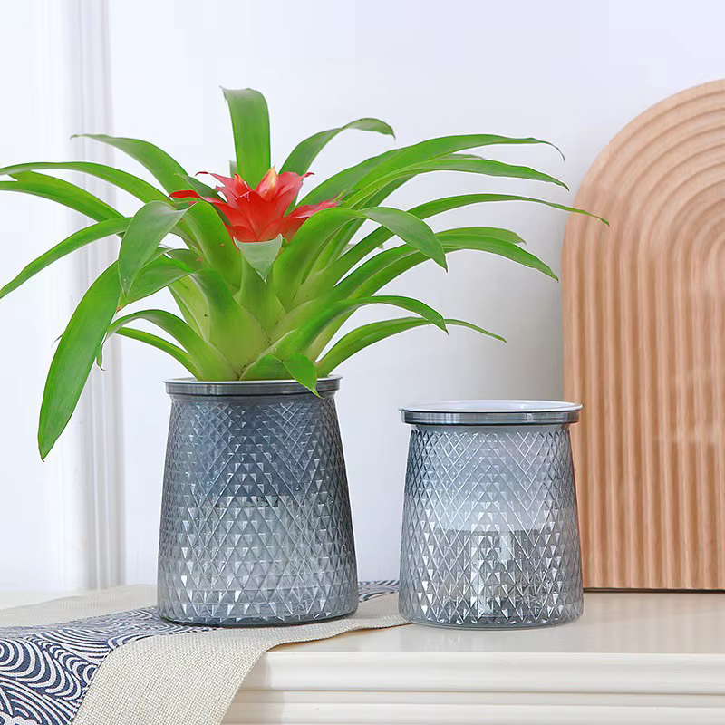 Pot de fleurs auto-arrosage pour plantes hydroponiques succulentes d'intérieur