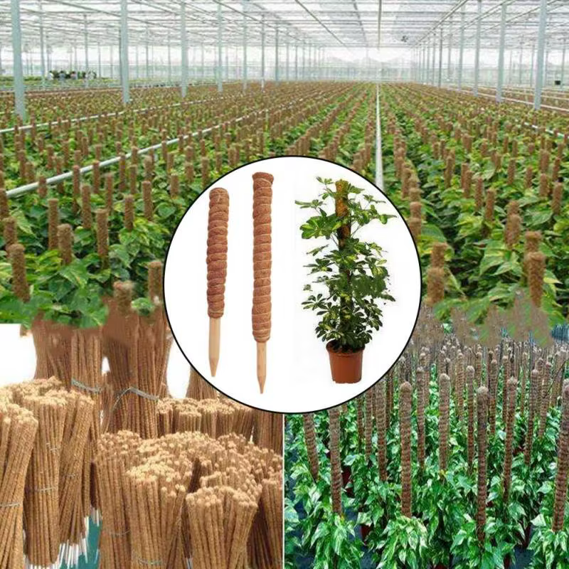 Poteau Totem en coco pour plantes grimpantes