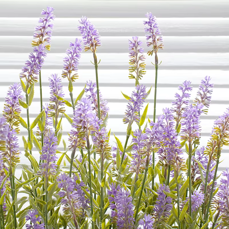 Plantes en pot de µartificielle