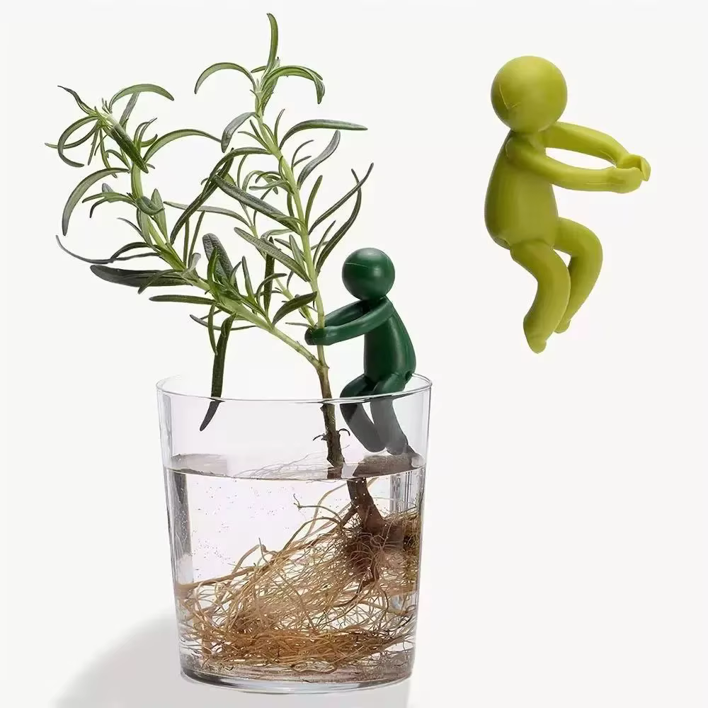 Cadre de Support pour plantes