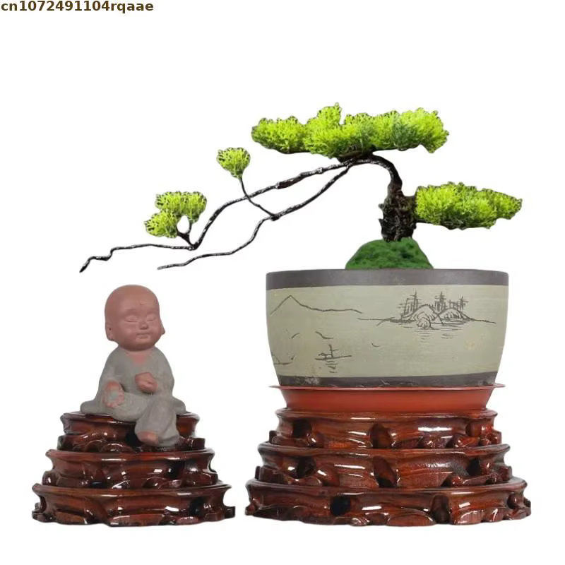Support de plante de bonsaï d'intérieur