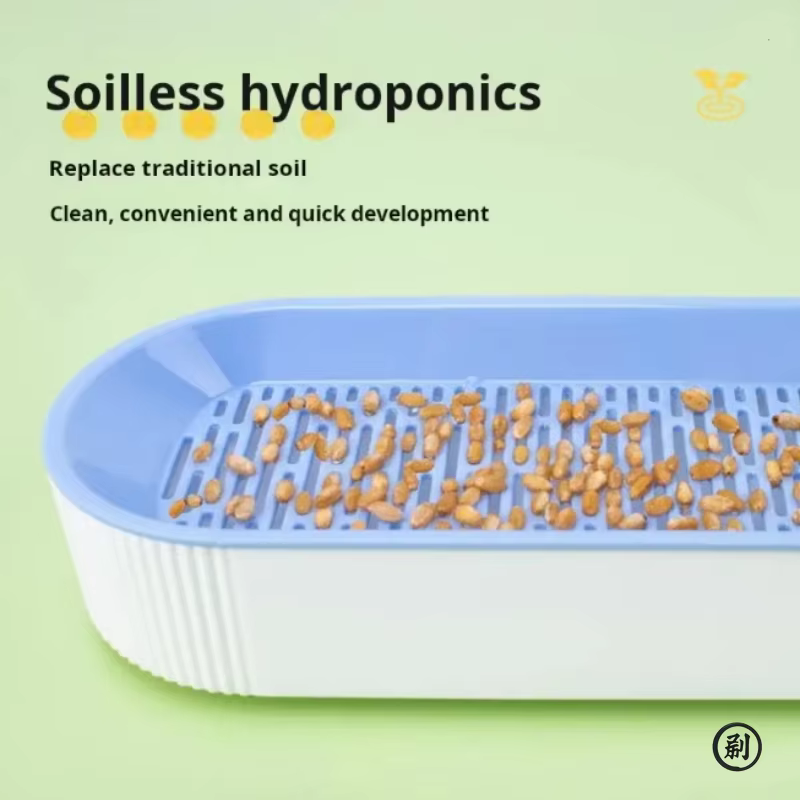 Boîte d'herbe hydroponique pour chat