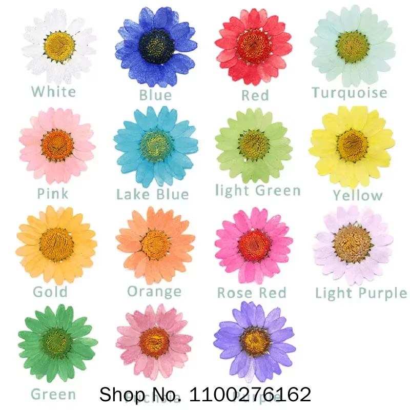 120 pièces de fleurs de marguerite séchées pressées pour la fabrication de pendentifs en résine époxy