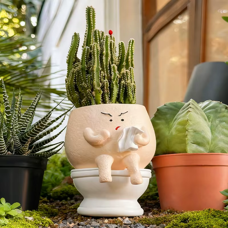 Pot de fleurs amusant en forme de toilette pour plantes succulentes