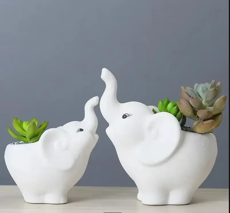 Pot de fleurs succulentes