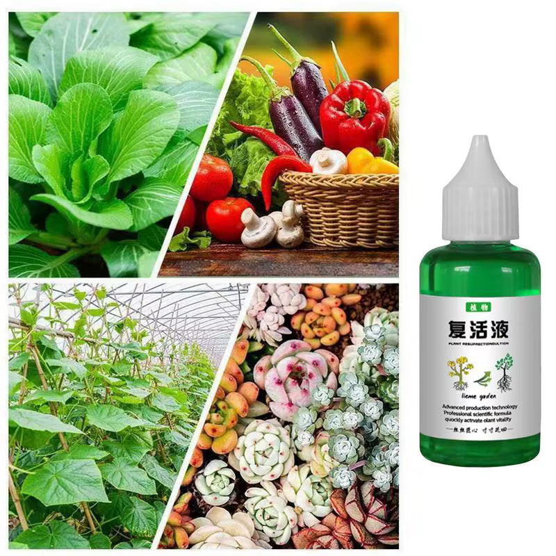 Solution universelle pour plantes