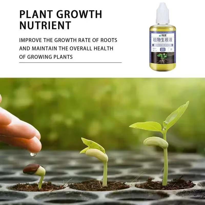 Stimulateur d'enracinement rapide pour plantes
