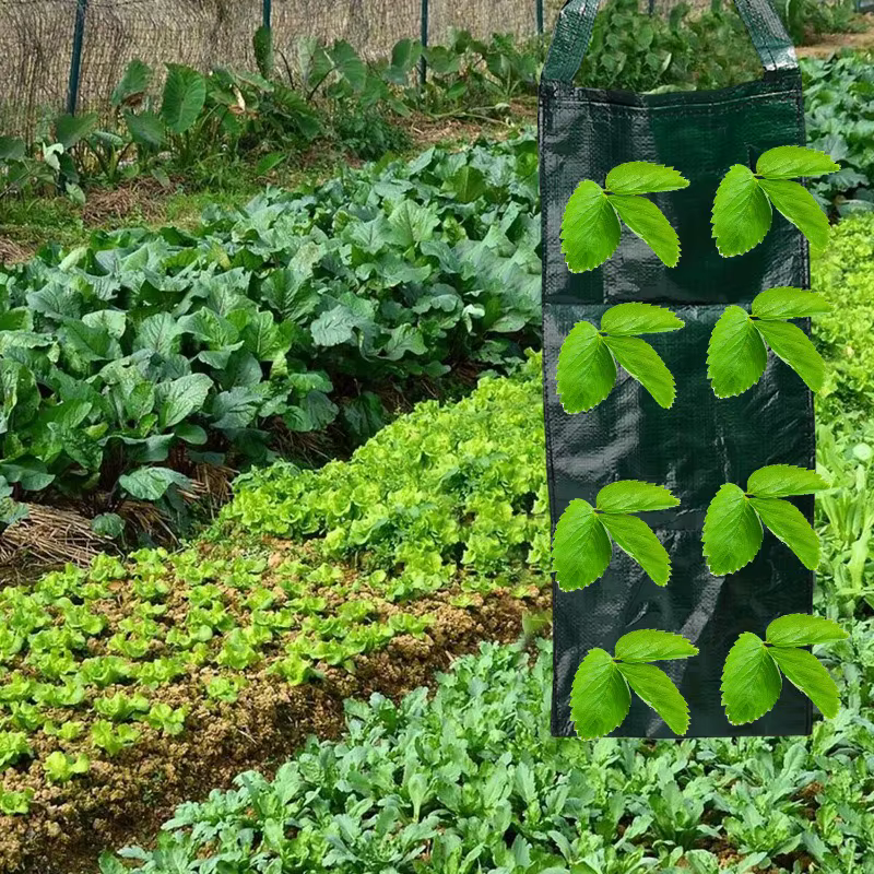Sac de plantation de fraises suspendu, sac de culture de jardin PE dégradable, jardinière de fleurs et de légumes, décoration intérieure et extérieure, fournitures de jardin