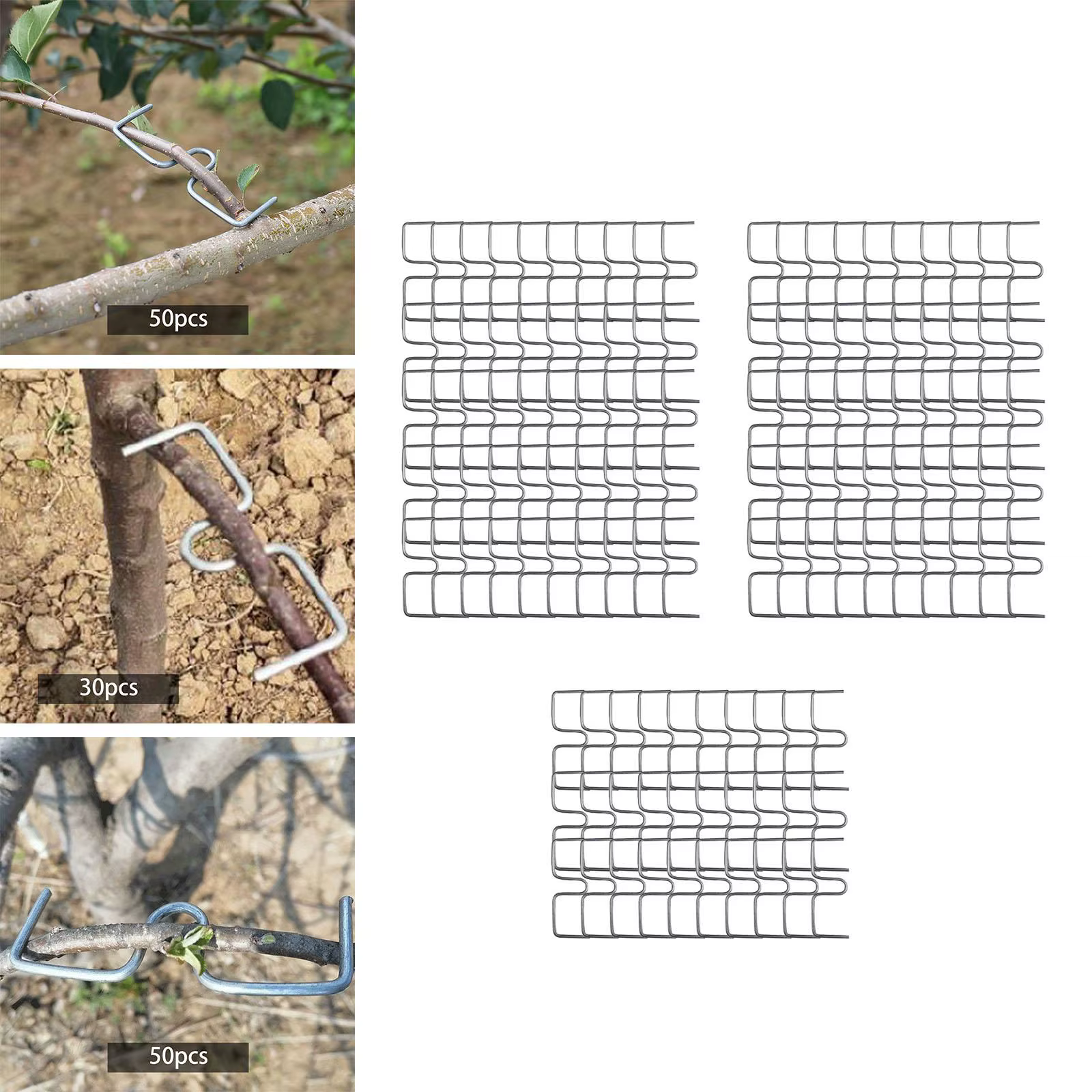 Extracteur de branches d'arbre fruitier