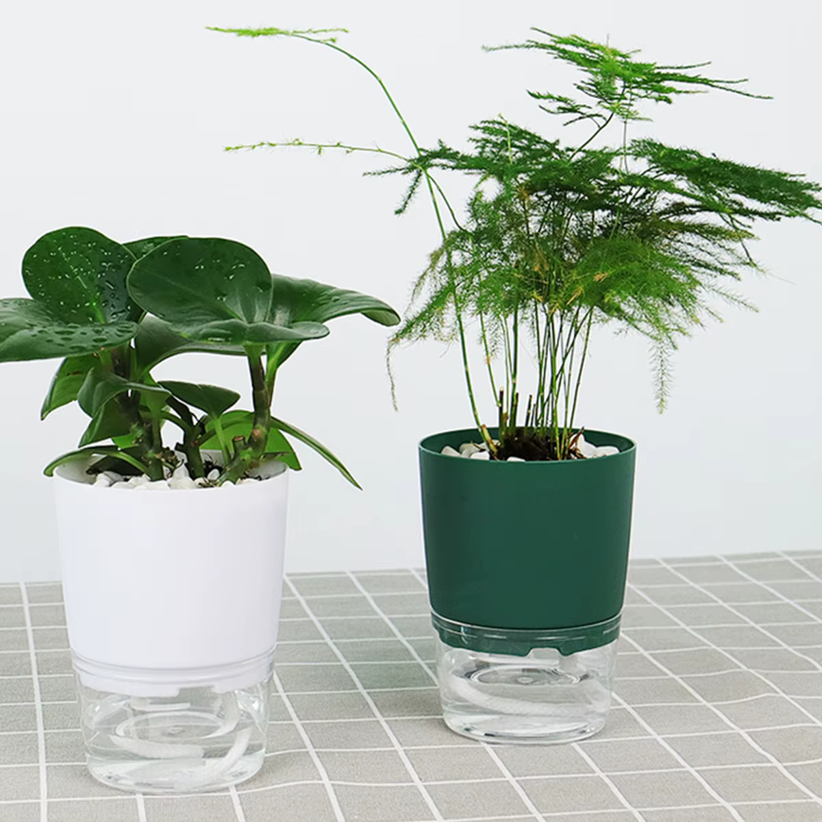 Pot de Fleurs Hydroponique à Auto-Arrosage