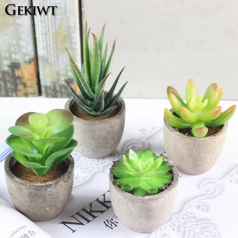 Mini plantes succulentes artificielles à feuilles persistantes