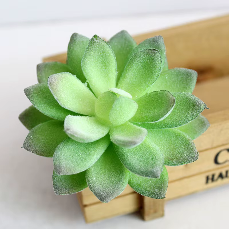 Plante succulente artificielle en plastique