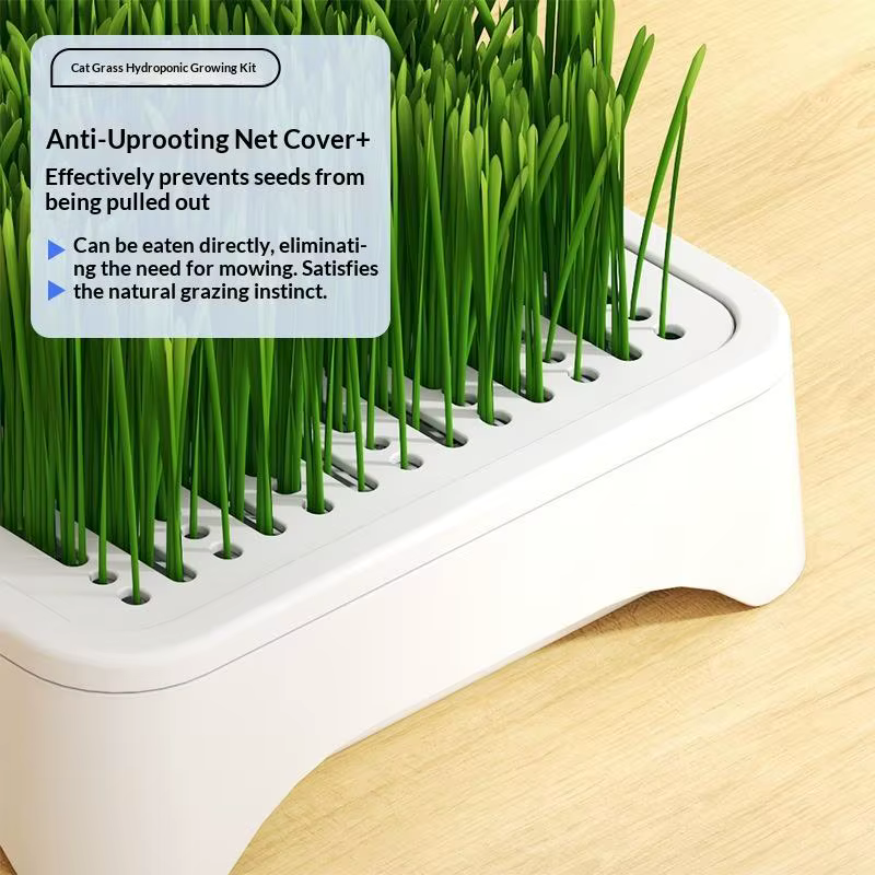 ㈅ Bac de culture hydroponique pour herbe à chat, pot de semis de blé sans terre, dispositif hydroponique pour herbe pour chatons, pot de culture horticole