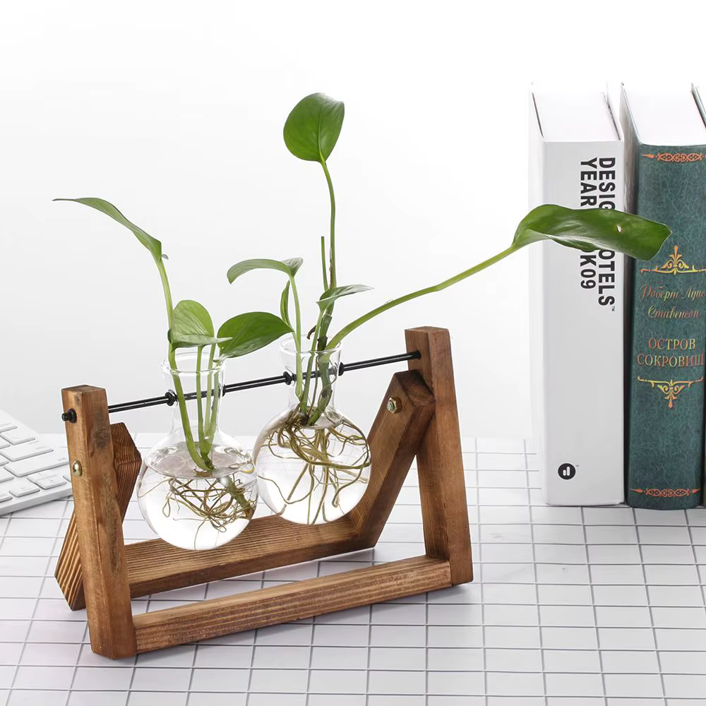 Vases de plantes hydroponiques
