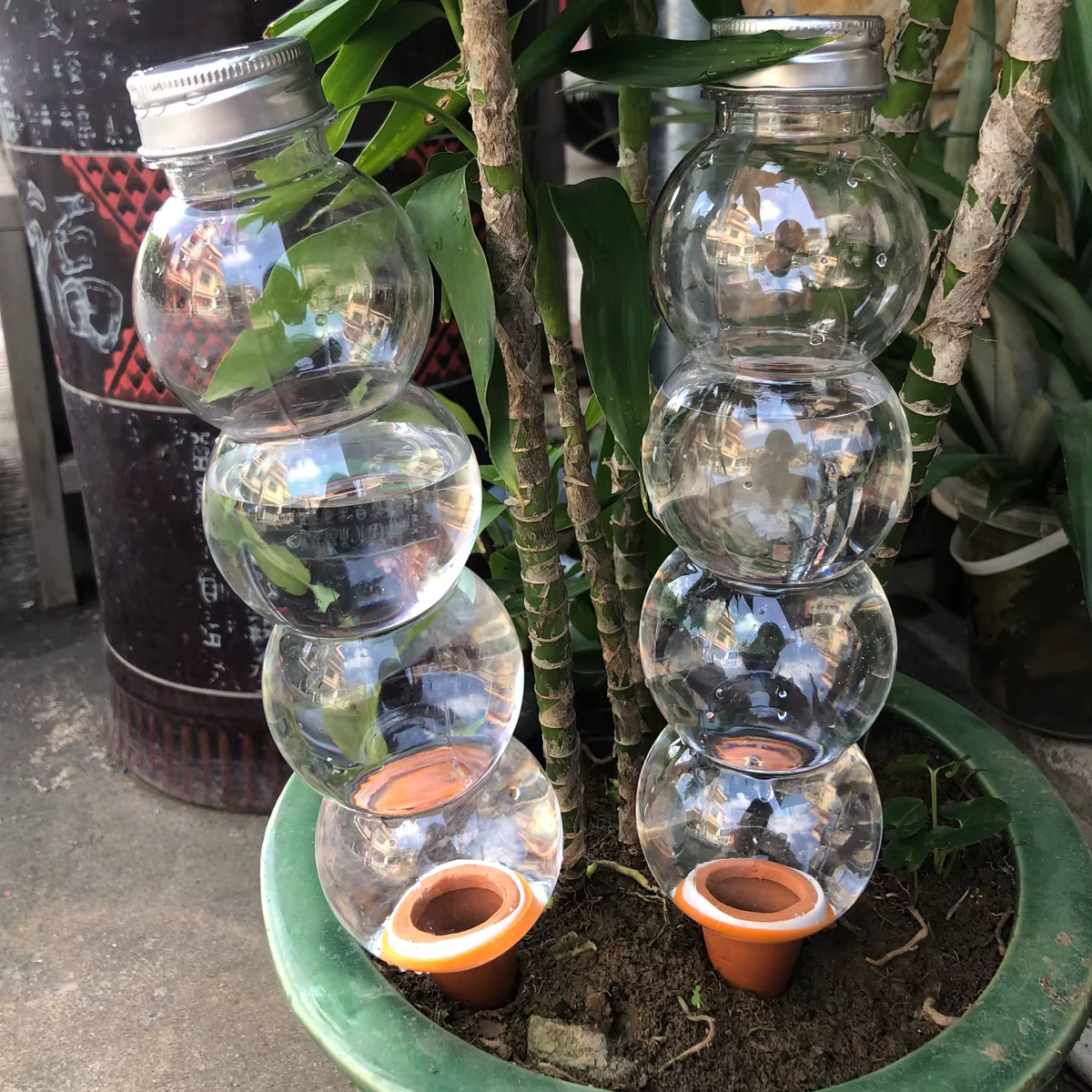 Système d'arrosage automatique pour plantes