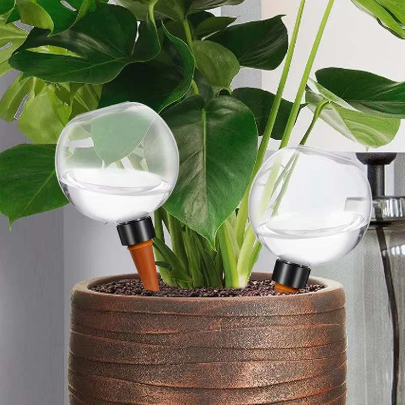 Globes d'arrosage automatique 500ml