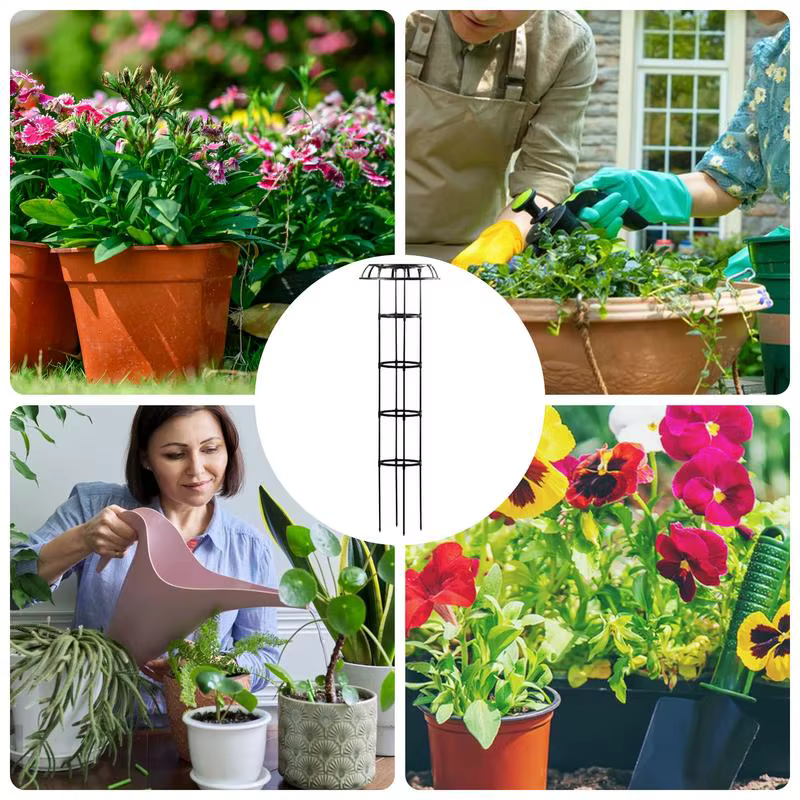 Treillis de fleurs pour plantes grimpantes